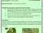 Ficha da semente - feijão-verde
